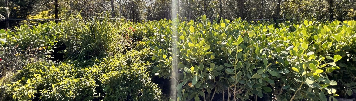 Master Gardeners LLC